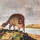 Illustration for article titled How Europeans Imagined Exotic Animals Centuries Ago, Based on Hearsay